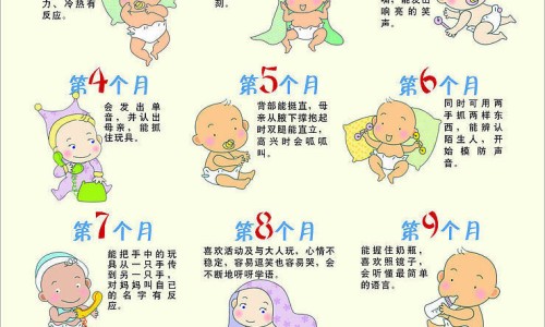 蛋奶类食物有什么-蛋奶内脏功效网 - 蛋奶是什么,蛋奶类的牛奶