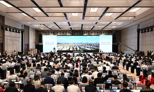 蛋奶类-蛋奶内脏功效网 - 蛋奶是什么,蛋奶类的牛奶